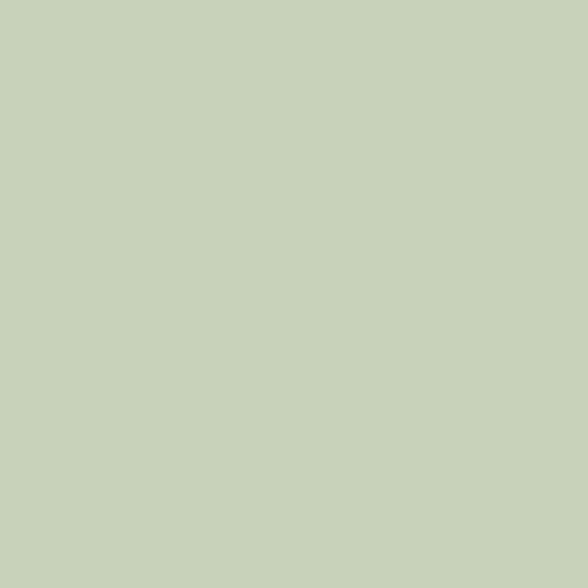 service background